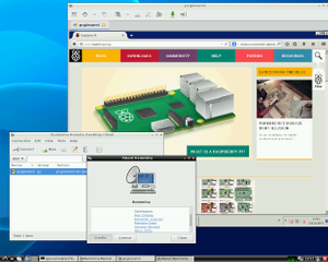 Remmina on Arch Linux and RaspberryPI